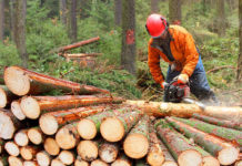 Wydajniejsza praca w drewnie z narzędziami Holzkraft!