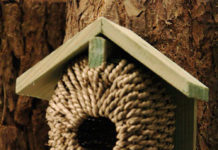 Domki dla ptaków – ozdobne i lęgowe