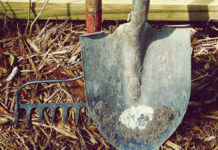 Sekator – pomocnik każdego ogrodnika