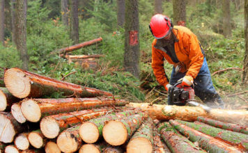 Wydajniejsza praca w drewnie z narzędziami Holzkraft!