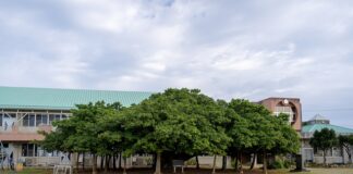 Czy można umrzeć na kamicę nerkową?