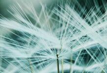 Ile kosztuje Belka drewnianą 20x20?