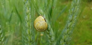 Jak uszczelnić kanał wentylacyjny?