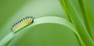 Ile kosztuje 1m3 desek w tartaku?