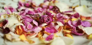 Jakie są zapachy kadzidełek?