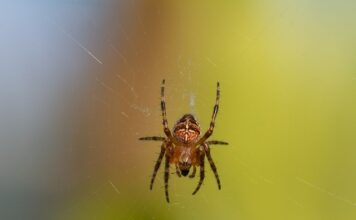 Ile waży kątownik 45x45?