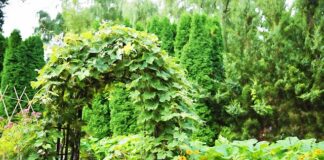 Czy można postawić altankę bez pozwolenia?