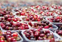 Na co patrzeć przy wyborze wanny?