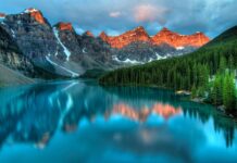 Jak wysikać kamień?