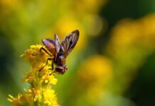 Gdzie faza a gdzie zero? Gdzie faza a gdzie zero?