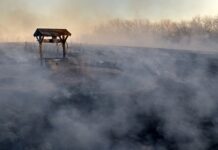 Jakich życzeń nie składać?