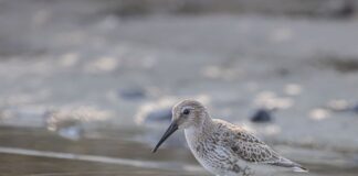 Ile kosztuje założenie brodzika i kabiny?