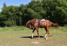 Jak montować koryta kablowe?