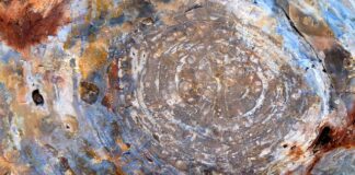 Ile kosztuje Silikonowanie kabiny prysznicowej?