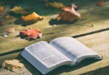 Z czego zrobić smycz?