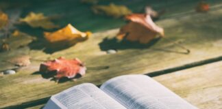 Z czego zrobić smycz?