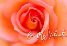 Jak wręczyć walentynkę?