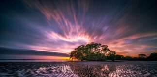 Ile kosztuje wykonanie odpływu liniowego?