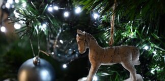 Jak wysłać kartkę świąteczną na Messengera?