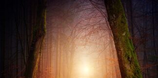 Ile obwodów na oświetlenie?