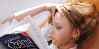 Z jakiego języka pochodzi słowo tapczan?