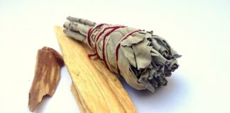 Jak rozpoznać prawdziwe Palo Santo?