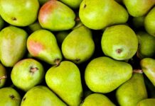 Czy trzeba mieć działalność żeby sprzedawać na targu? Czy trzeba mieć działalność żeby sprzedawać na targu?