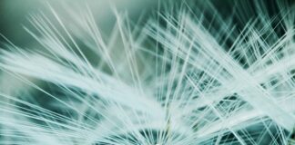 Ile waży belka 120x120?