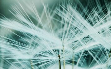 Ile waży belka 120x120?