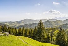 Ile kosztuje nowa kabina prysznicowa?