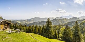 Ile kosztuje nowa kabina prysznicowa?