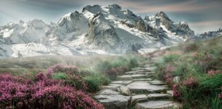 Czy można zbierać kamienie na plaży?