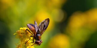 Co to jest faza i zero?