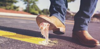 Jaki klej zamiast mamuta?