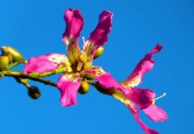 Czy trzeba mieć kapok na łódce? Czy trzeba mieć kapok na łódce?