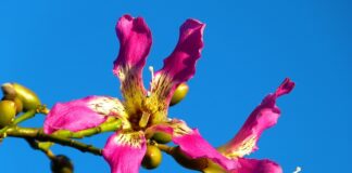 Czy trzeba mieć kapok na łódce?