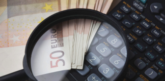 Jak się oblicza metr drzewa?