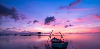 Jaki kolor ma plus i minus?