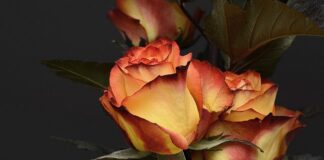 Co można zrobić do jedzenia na walentynki?