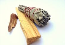 Jaki zapach ma Palo Santo? Jaki zapach ma Palo Santo?